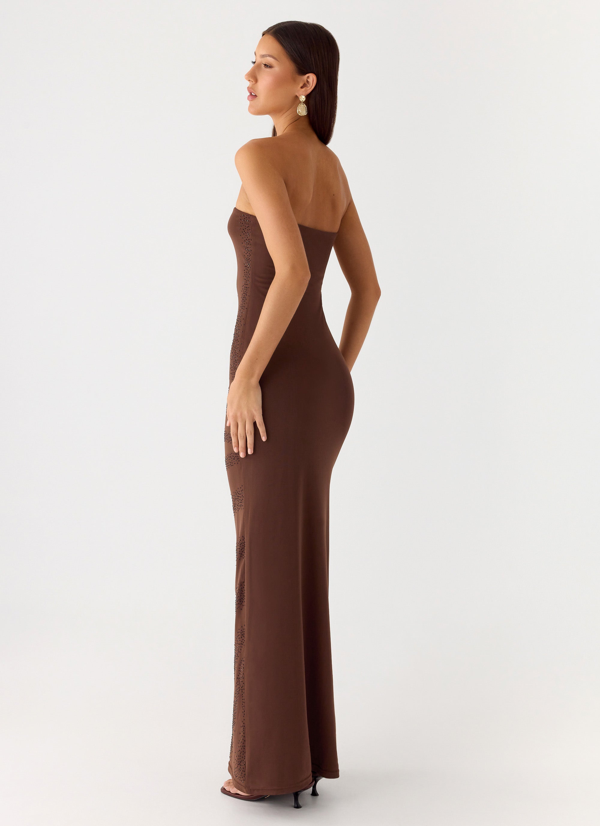 Belisse Beaded Mesh Maxi Dress - Chocolate